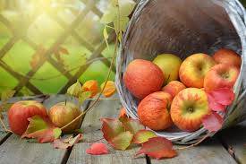 HCG Apple Day