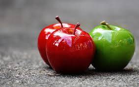 Phase 3 Foods List 