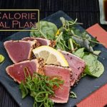 500 Calorie Diet Meal Plan