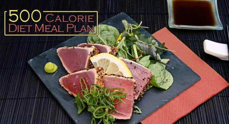 500 Calorie Diet Meal Plan