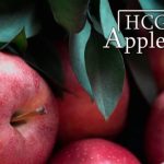 HCG Diet Apple Day