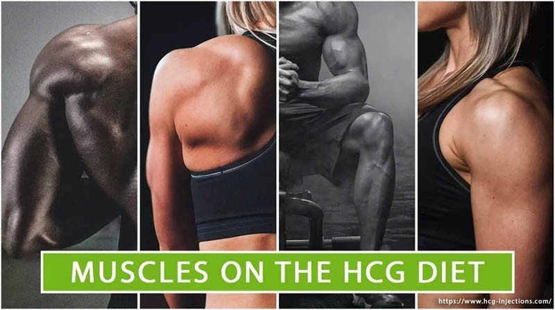 Muscles on the HCG Diet