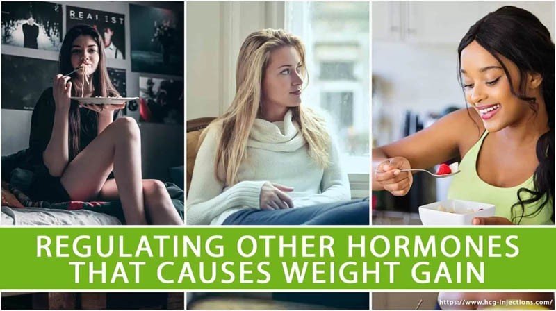 Regulating Other Hormones that Causes Weight Gain