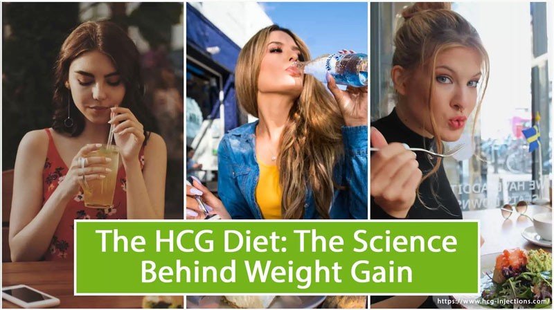 The HCG Diet The Science Behind Weight Gain